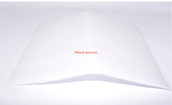 24286676 Filter Mat For Ingersoll-rand Air Compressor OEM Component Supply